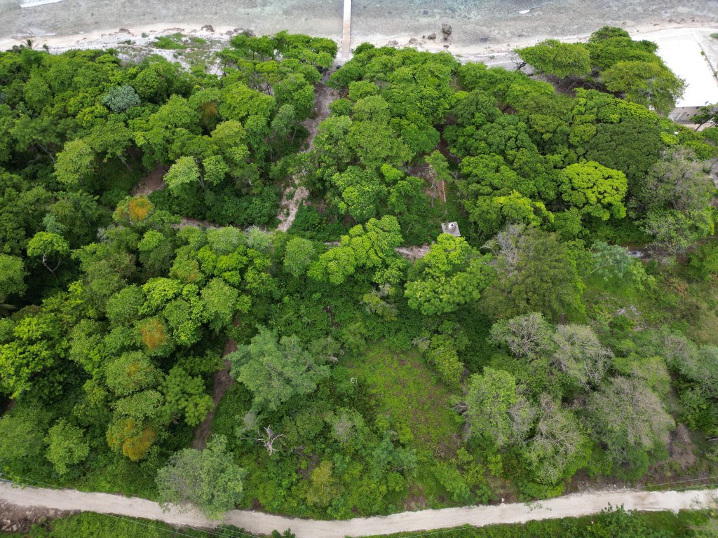 Listing ID: URE0662, Big Rock Utila, Bay Islands, HN - Big Rock Oceanfront Lot 11, Photo #