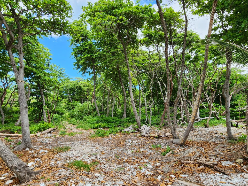 Listing ID: URE0662, Big Rock Utila, Bay Islands, HN - Big Rock Oceanfront Lot 11, Photo #