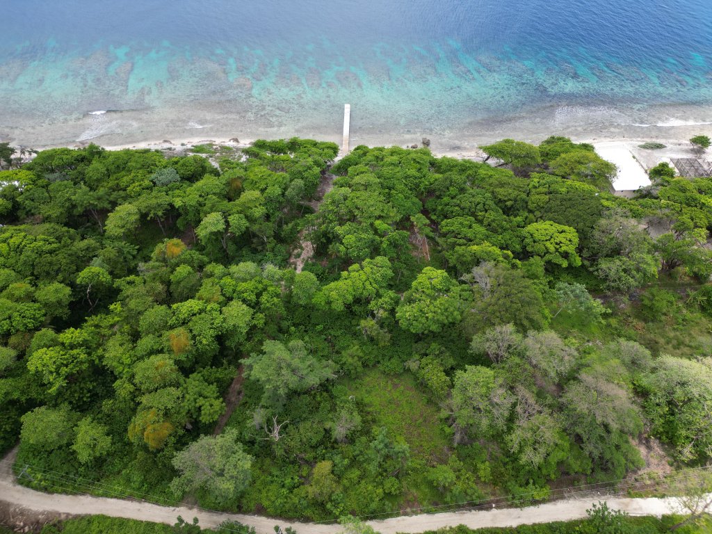 Listing ID: URE0662, Big Rock Utila, Bay Islands, HN - Big Rock Oceanfront Lot 11, Photo #