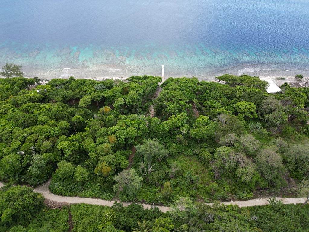 Listing ID: URE0662, Big Rock Utila, Bay Islands, HN - Big Rock Oceanfront Lot 11, Photo #