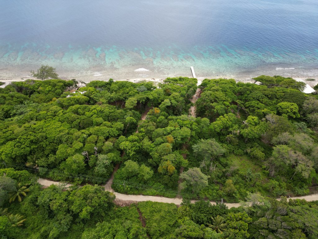 Listing ID: URE0664, Big Rock Utila, Bay Islands, HN - Big Rock Seven Interior Lots, Photo #