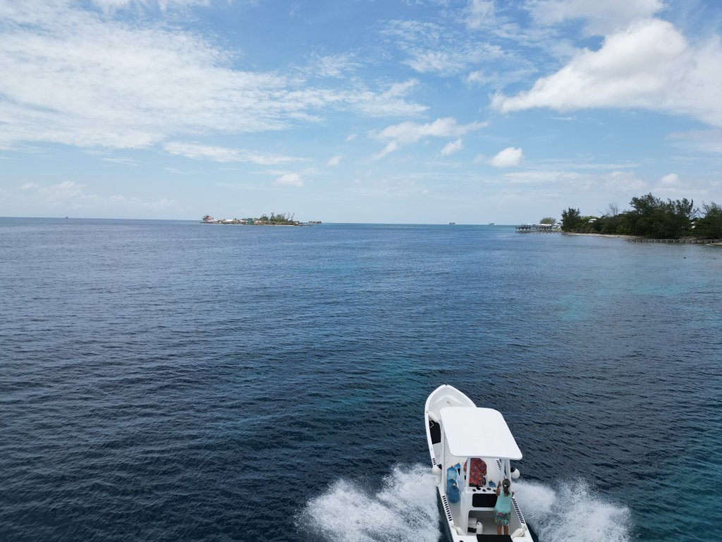 Listing ID: URE0664, Big Rock Utila, Bay Islands, HN - Big Rock Seven Interior Lots, Photo #