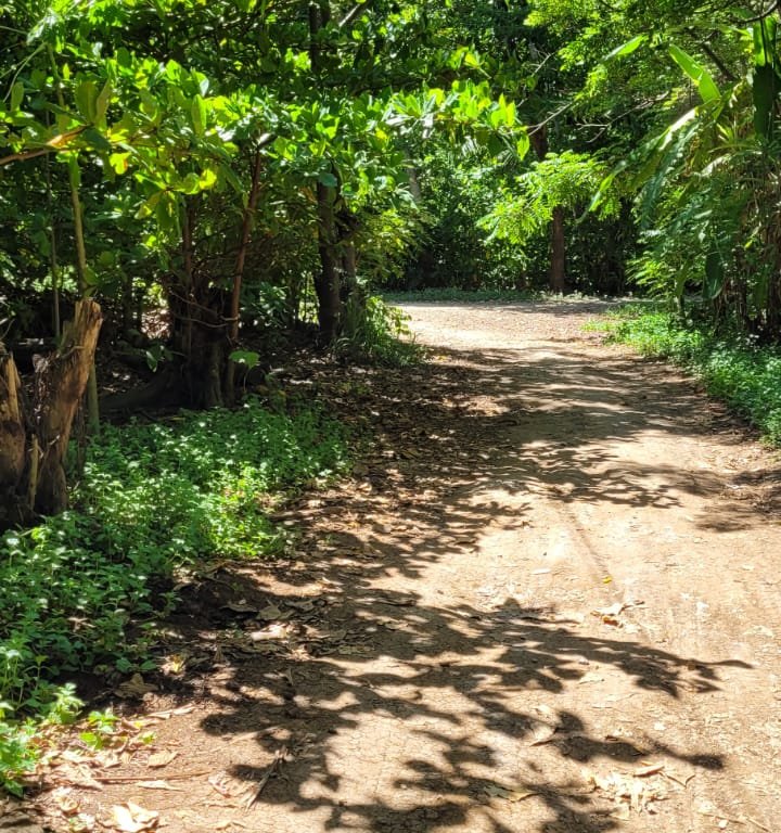 Listing ID: URE0667, Pumpkin Hill Utila, Bay Islands, HN - Pumpkin Hill Lot, Photo #