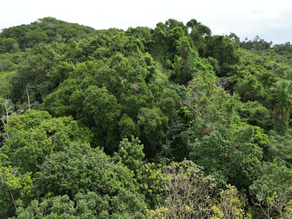 Listing ID: URE0669, Pumpkin Hill Utila, Bay Islands, HN - Bat Cave Splendor, Photo #