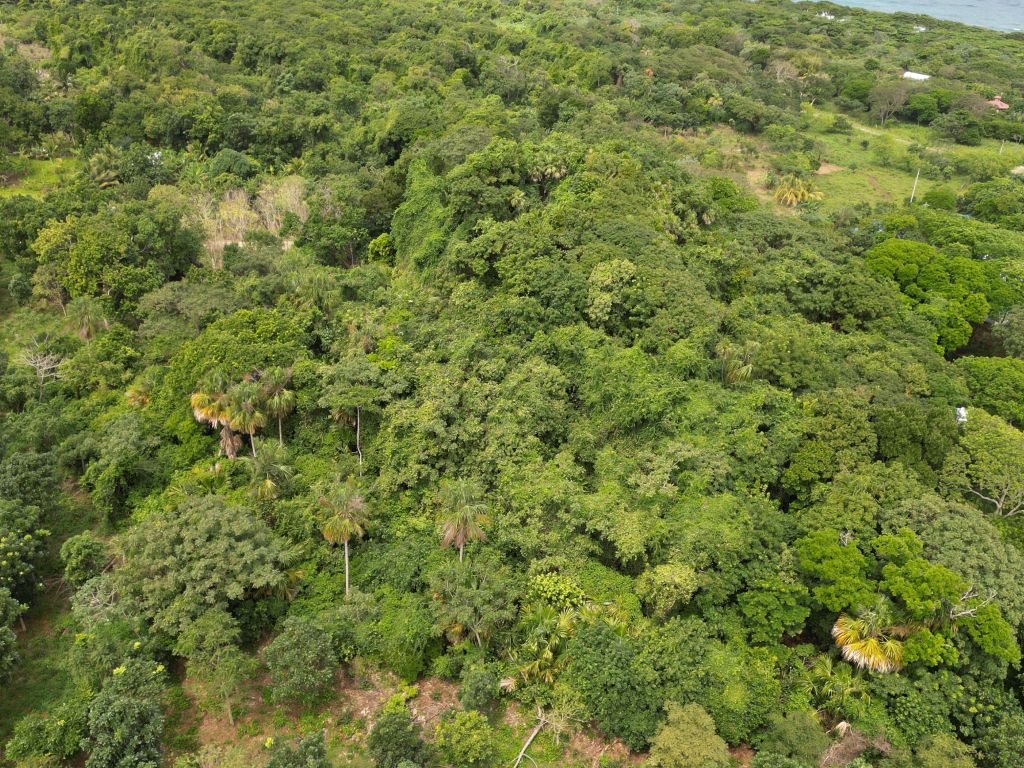 Listing ID: URE0669, Pumpkin Hill Utila, Bay Islands, HN - Bat Cave Splendor, Photo #