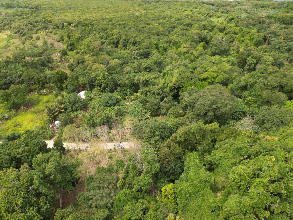 Listing ID: URE0669, Pumpkin Hill Utila, Bay Islands, HN - Bat Cave Splendor, Photo #