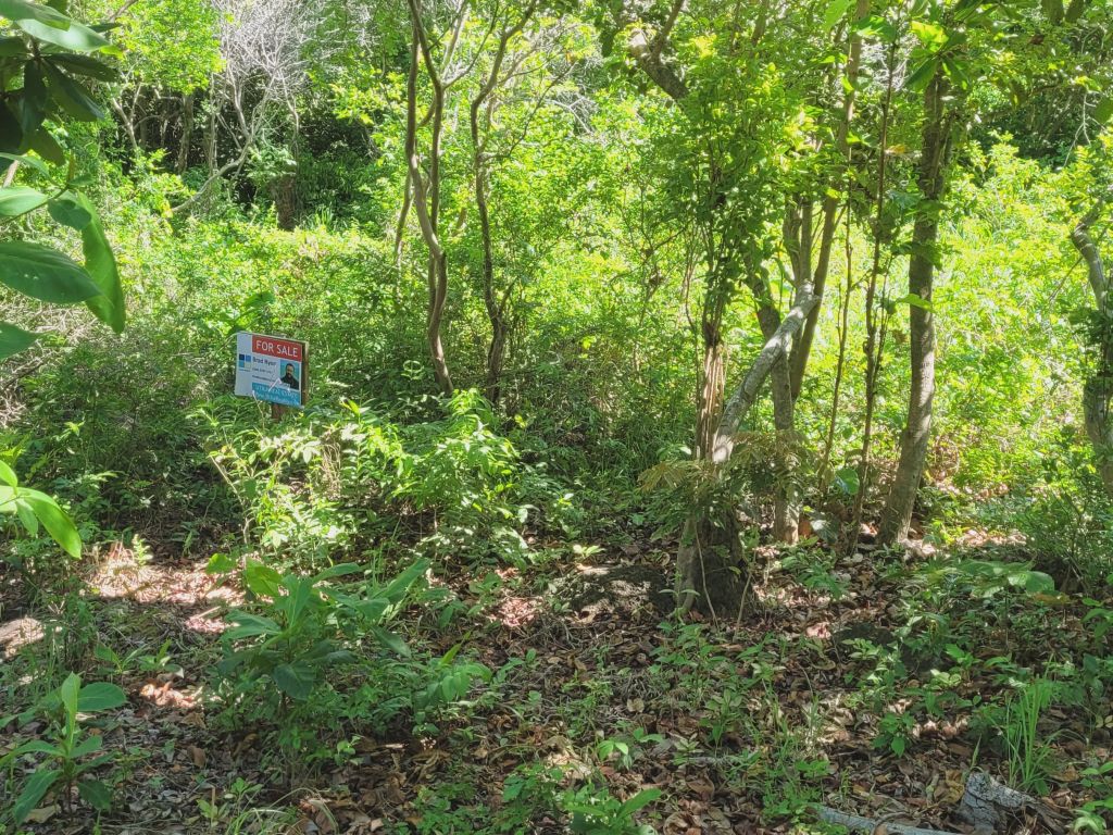 Listing ID: URE0675, Ocean Drive, Pumpkin Hill Utila, Bay Islands, HN - Pumpkin Hill Boulder Lot, Photo #