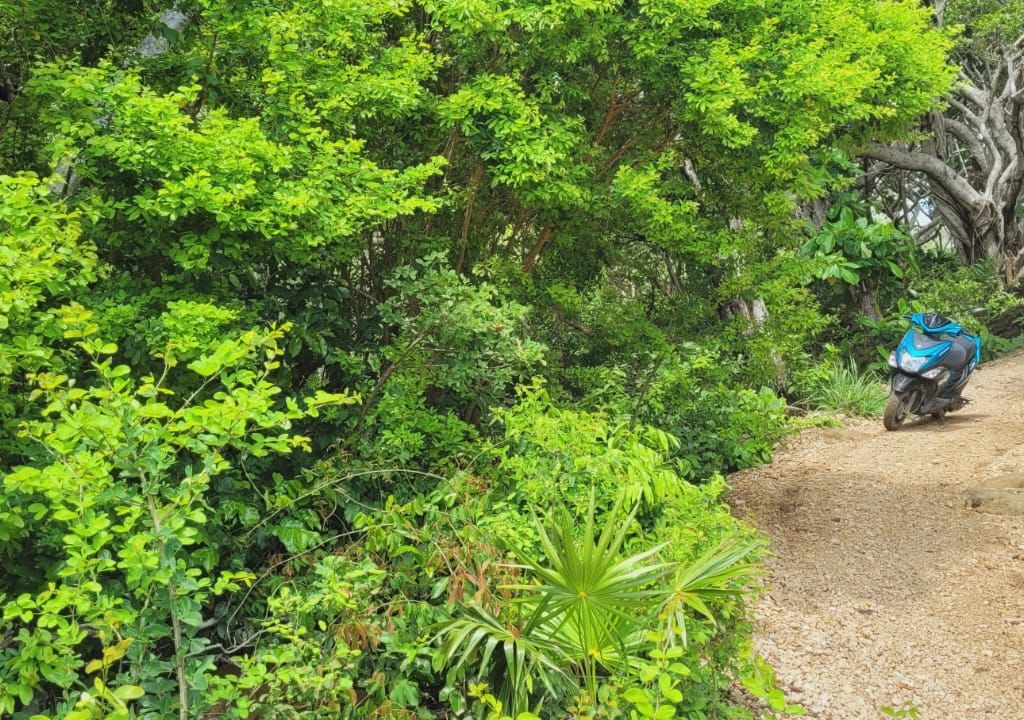 Listing ID: URE0675, Ocean Drive, Pumpkin Hill Utila, Bay Islands, HN - Pumpkin Hill Boulder Lot, Photo #