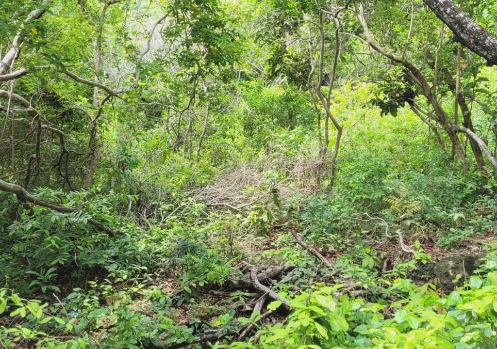 Listing ID: URE0675, Ocean Drive, Pumpkin Hill Utila, Bay Islands, HN - Pumpkin Hill Boulder Lot, Photo #