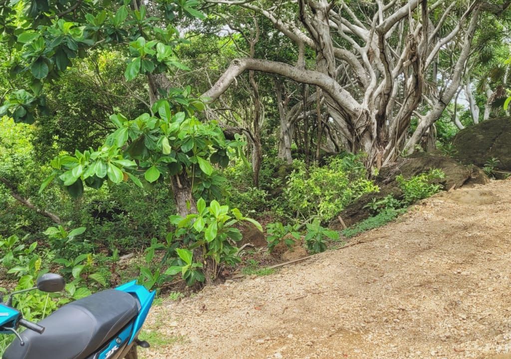 Listing ID: URE0675, Ocean Drive, Pumpkin Hill Utila, Bay Islands, HN - Pumpkin Hill Boulder Lot, Photo #