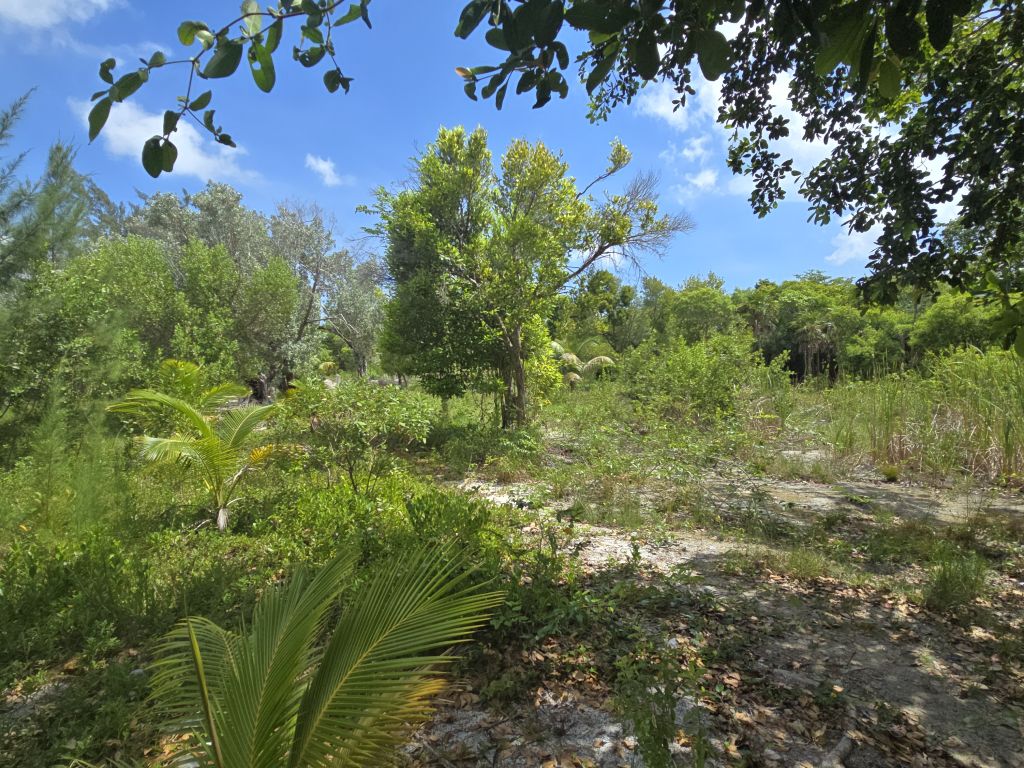 Listing ID: URE0678, David's Beach Utila, Bay Islands, HN - Sunset Shores With Dock & Boat Slip, Photo #