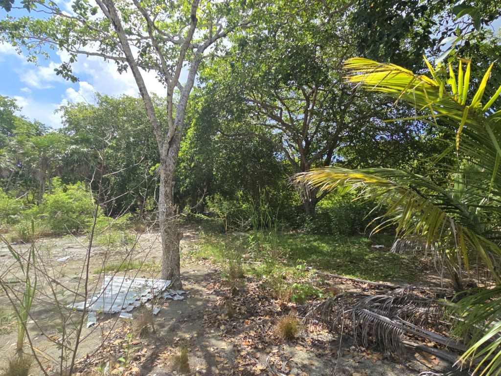 Listing ID: URE0678, David's Beach Utila, Bay Islands, HN - Sunset Shores With Dock & Boat Slip, Photo #