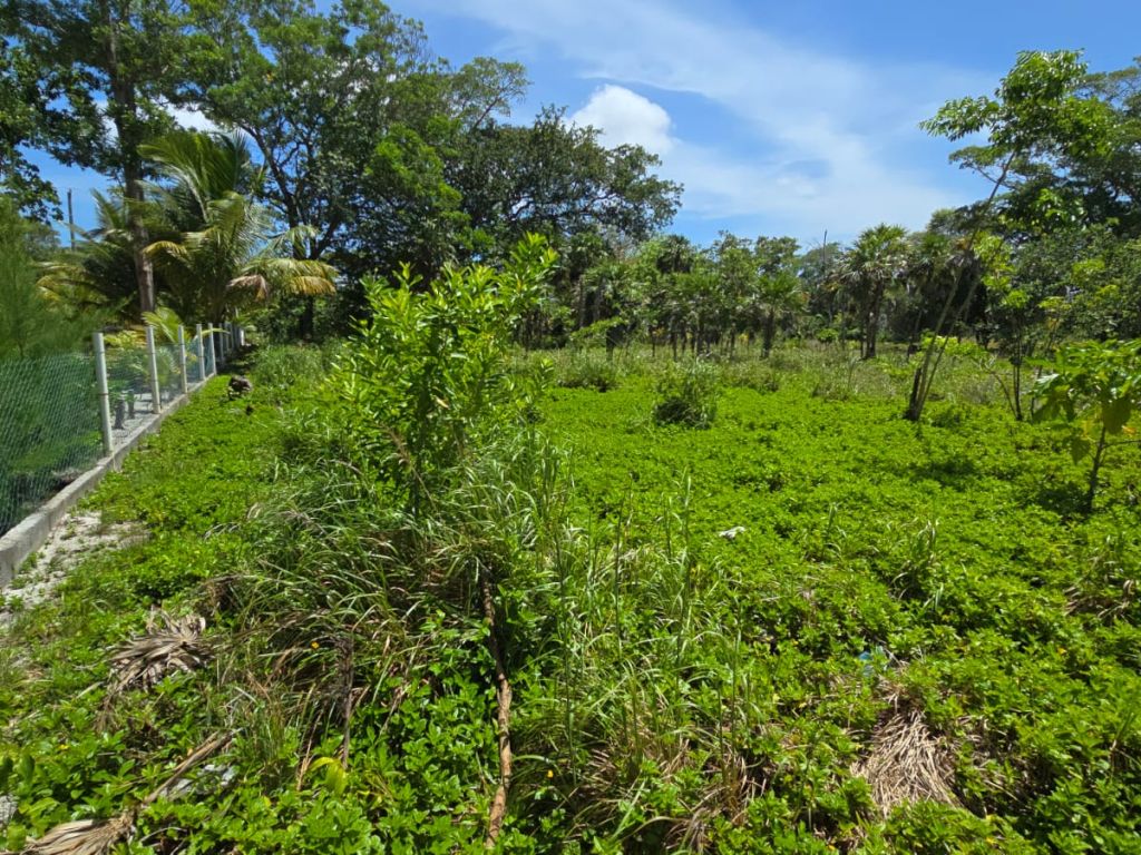 Lot For sale - Utila, Bay Islands - Listing ID: URE0679 - Photo