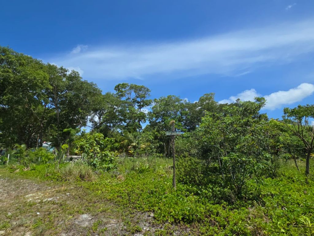 Listing ID: URE0679, The Well Utila, Bay Islands, HN - The Well Oceanview Lot #2, Photo #