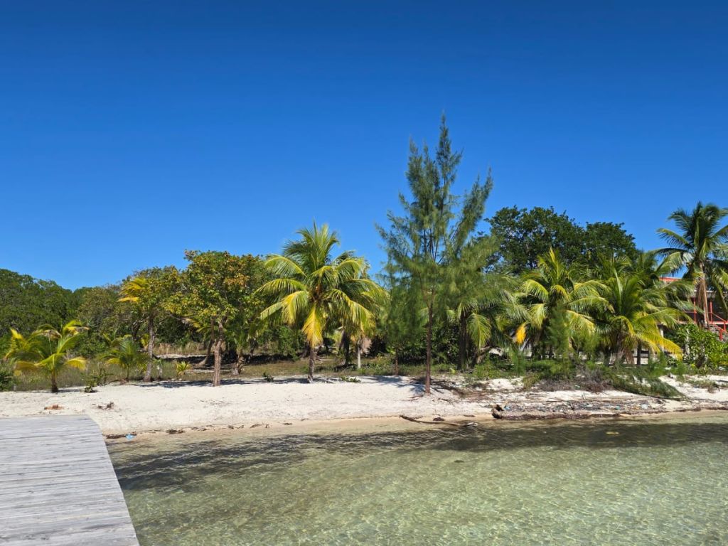 Listing ID: URE0682, Holland Beach Utila, Bay Islands, HN - Lot With Private Dock, Photo #