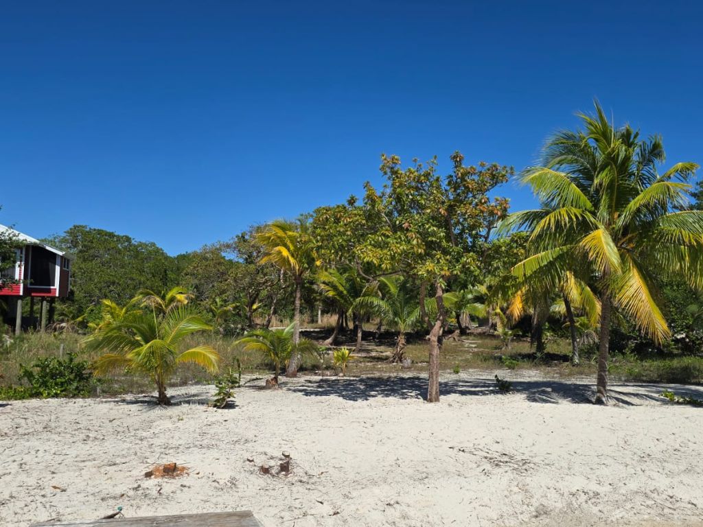 Listing ID: URE0682, Holland Beach Utila, Bay Islands, HN - Lot With Private Dock, Photo #