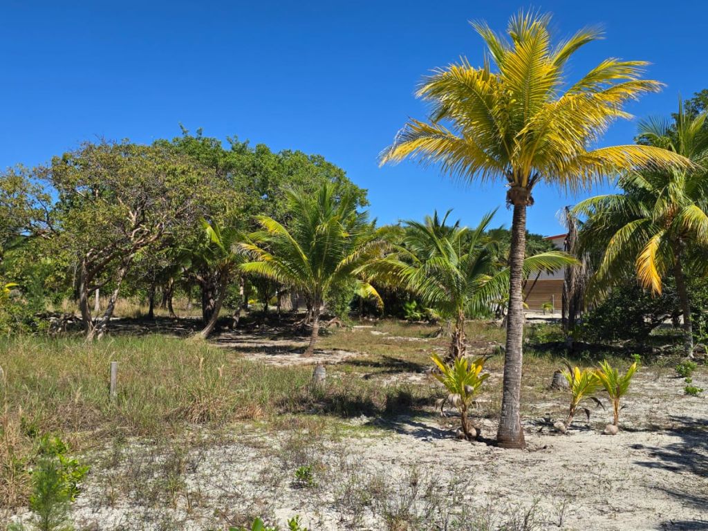 Listing ID: URE0682, Holland Beach Utila, Bay Islands, HN - Lot With Private Dock, Photo #