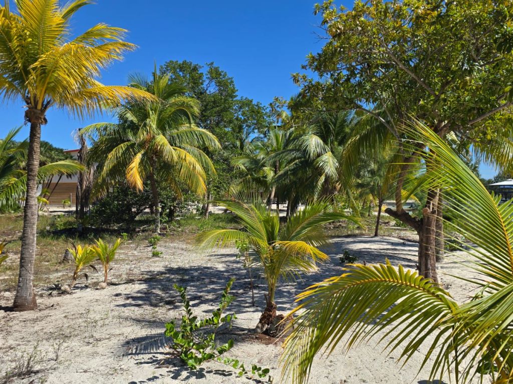 Listing ID: URE0682, Holland Beach Utila, Bay Islands, HN - Lot With Private Dock, Photo #