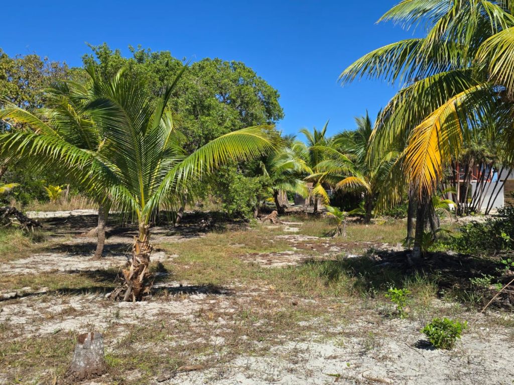 Listing ID: URE0682, Holland Beach Utila, Bay Islands, HN - Lot With Private Dock, Photo #