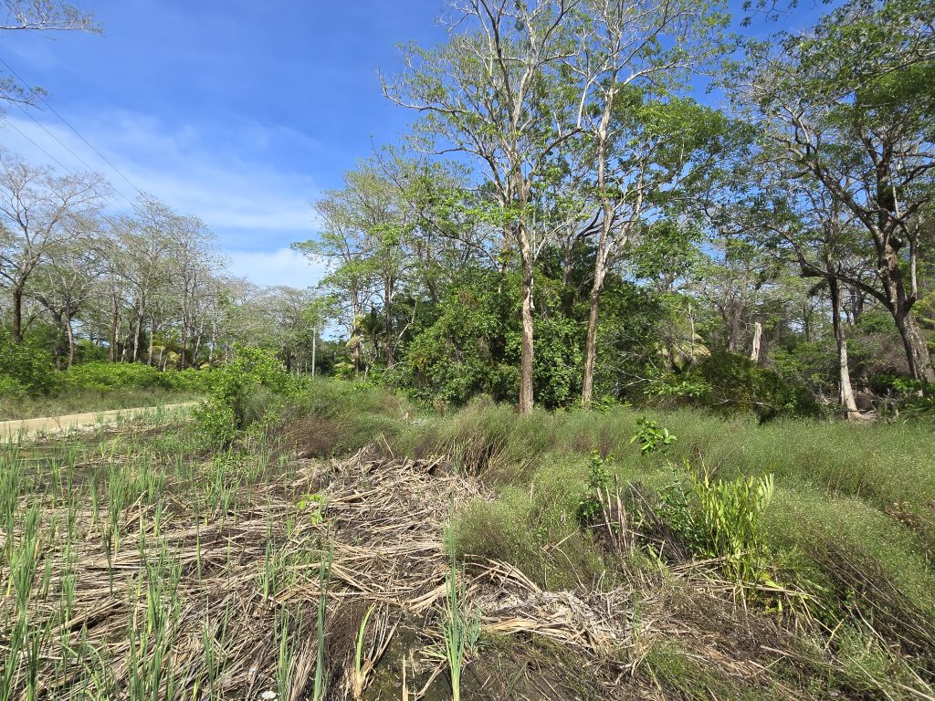 Listing ID: URE0683, Big Rock Utila, Bay Islands, HN - Indian Hill Lot, Photo #