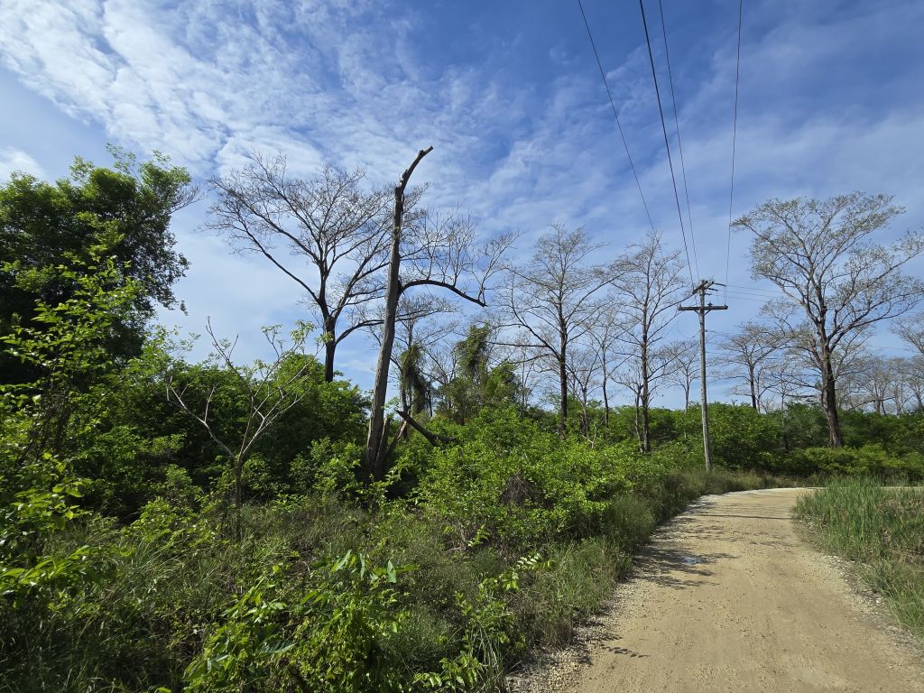 Listing ID: URE0683, Big Rock Utila, Bay Islands, HN - Indian Hill Lot, Photo #