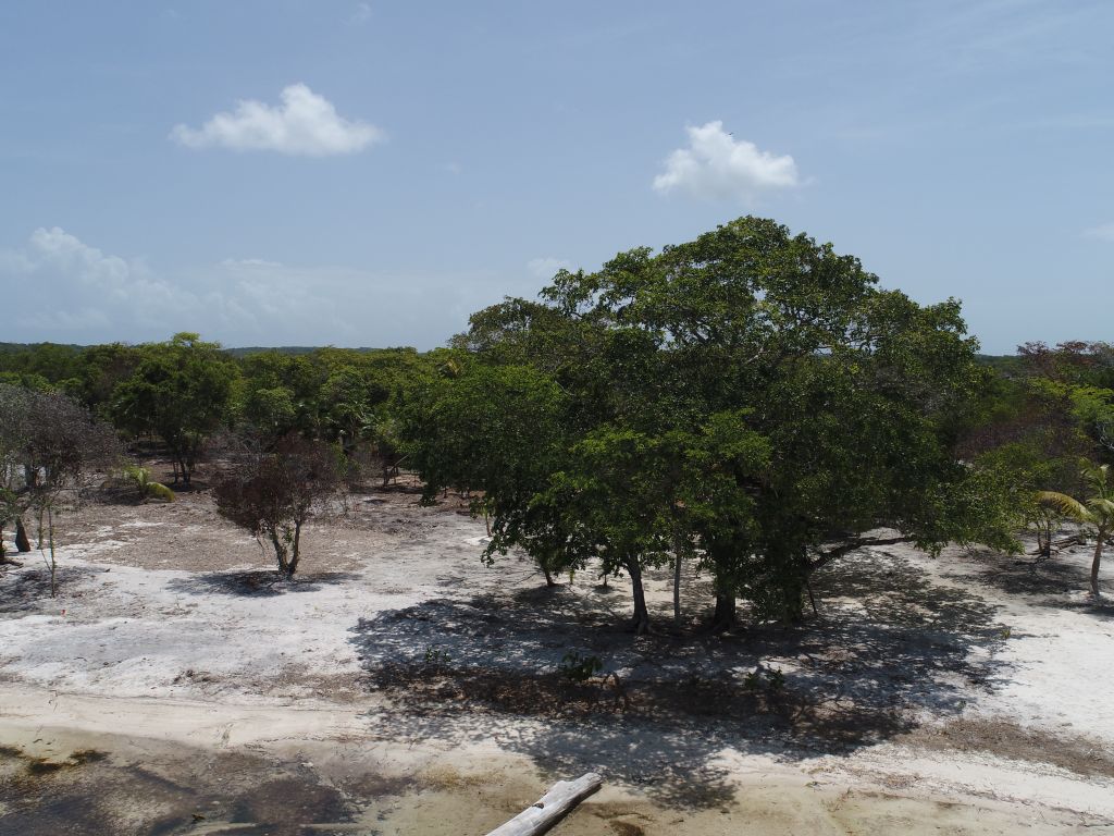 Listing ID: URE0687, David's Beach Utila, Bay Islands, HN - Sunset Shore, Lot 4, Photo #