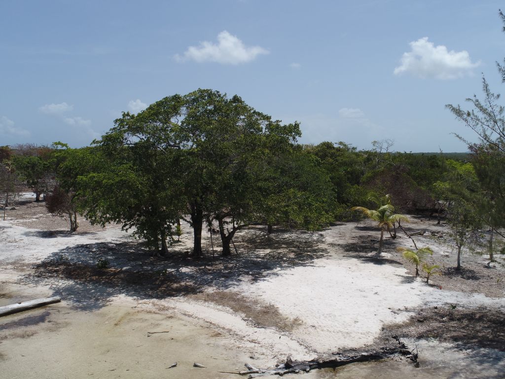 Listing ID: URE0687, David's Beach Utila, Bay Islands, HN - Sunset Shore, Lot 4, Photo #