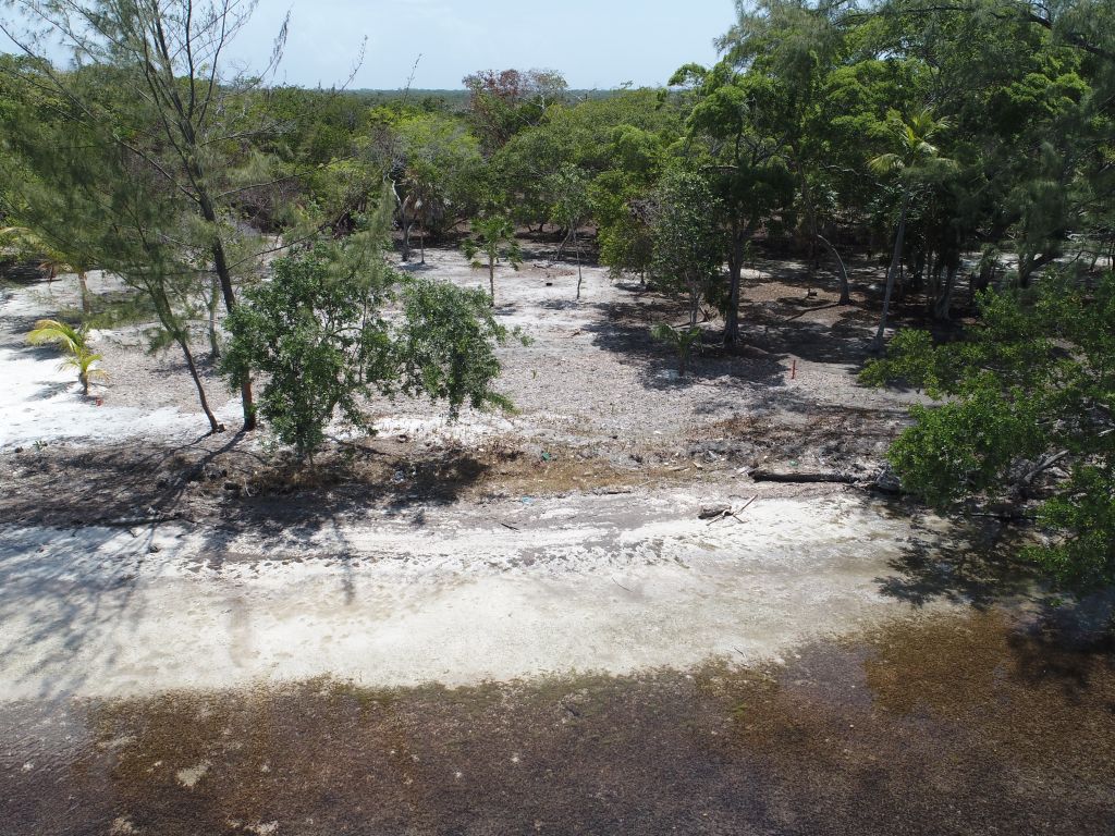 Listing ID: URE0687, David's Beach Utila, Bay Islands, HN - Sunset Shore, Lot 4, Photo #