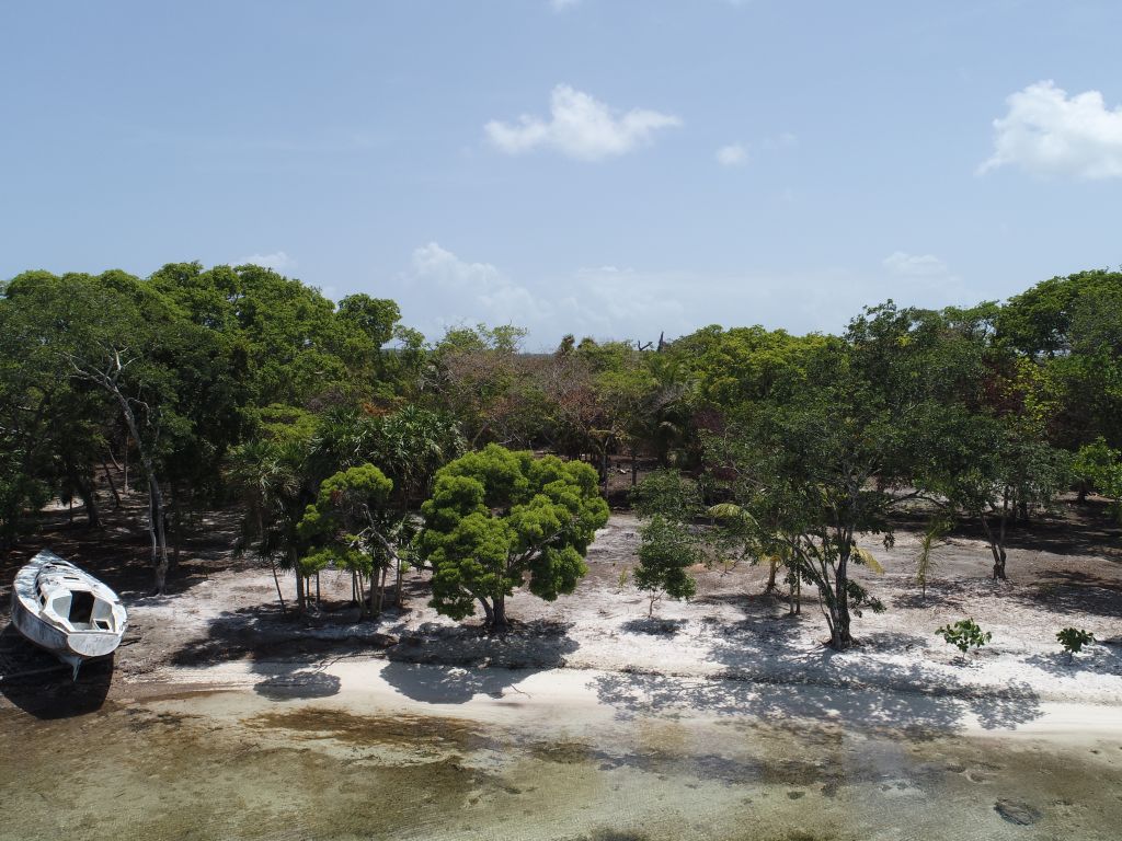 Listing ID: URE0687, David's Beach Utila, Bay Islands, HN - Sunset Shore, Lot 4, Photo #