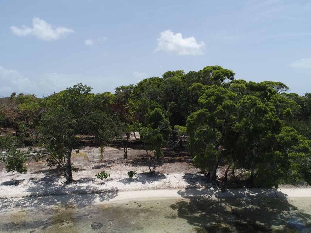 Listing ID: URE0687, David's Beach Utila, Bay Islands, HN - Sunset Shore, Lot 4, Photo #