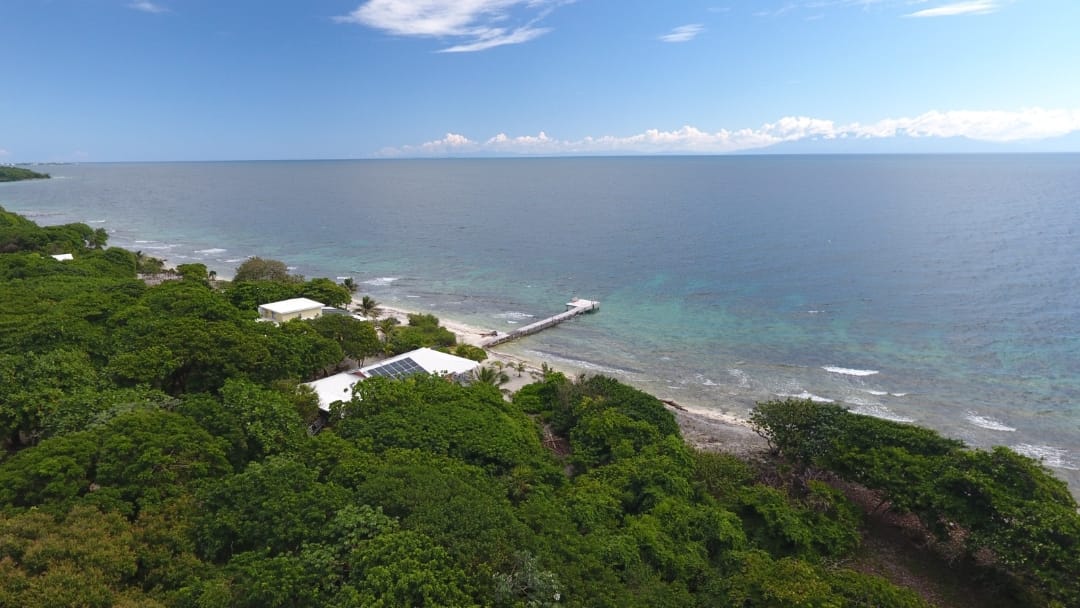 Lot Sale pending - Utila, Bay Islands - Listing ID: URE0691 - Photo