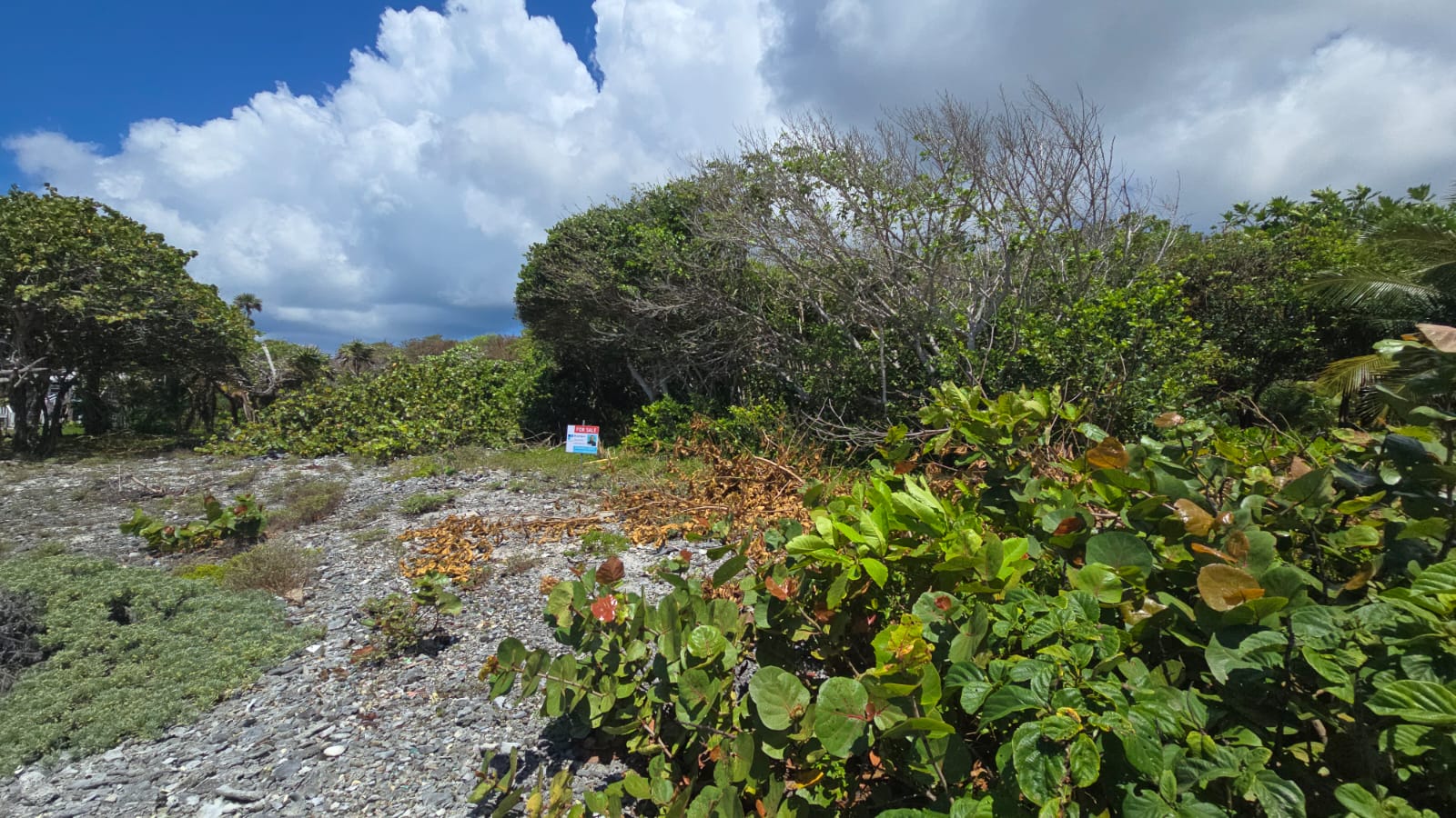 Listing ID: URE0691, Big Rock Utila, Bay Islands, HN - Big Rock oceanfront and back Lot with covered boat slip with bodega, Photo #