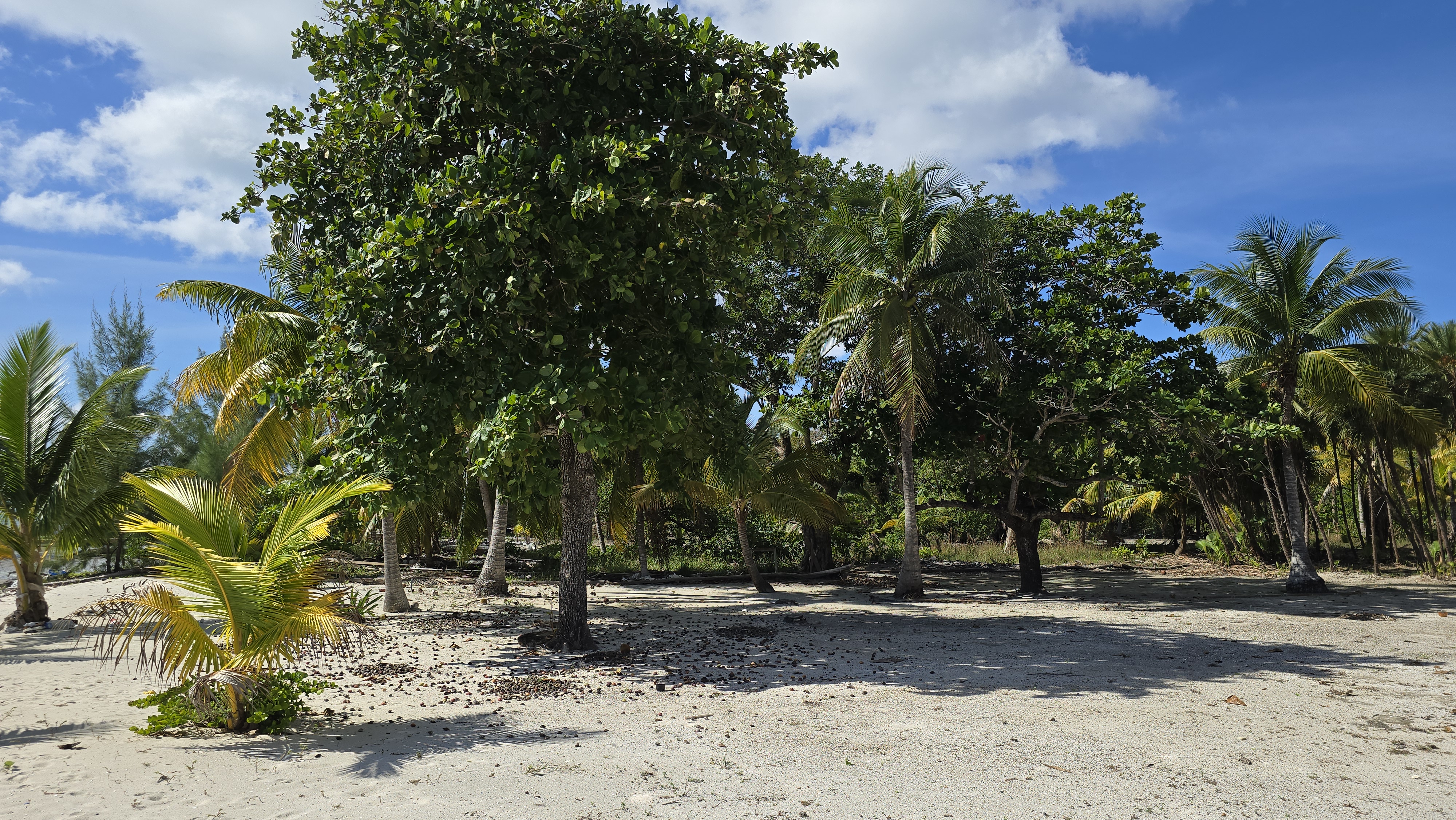 Listing ID: URE0693, Holland Beach Utila, Bay Islands, HN - Oceanfront property with small bodega and boat dock, Photo #