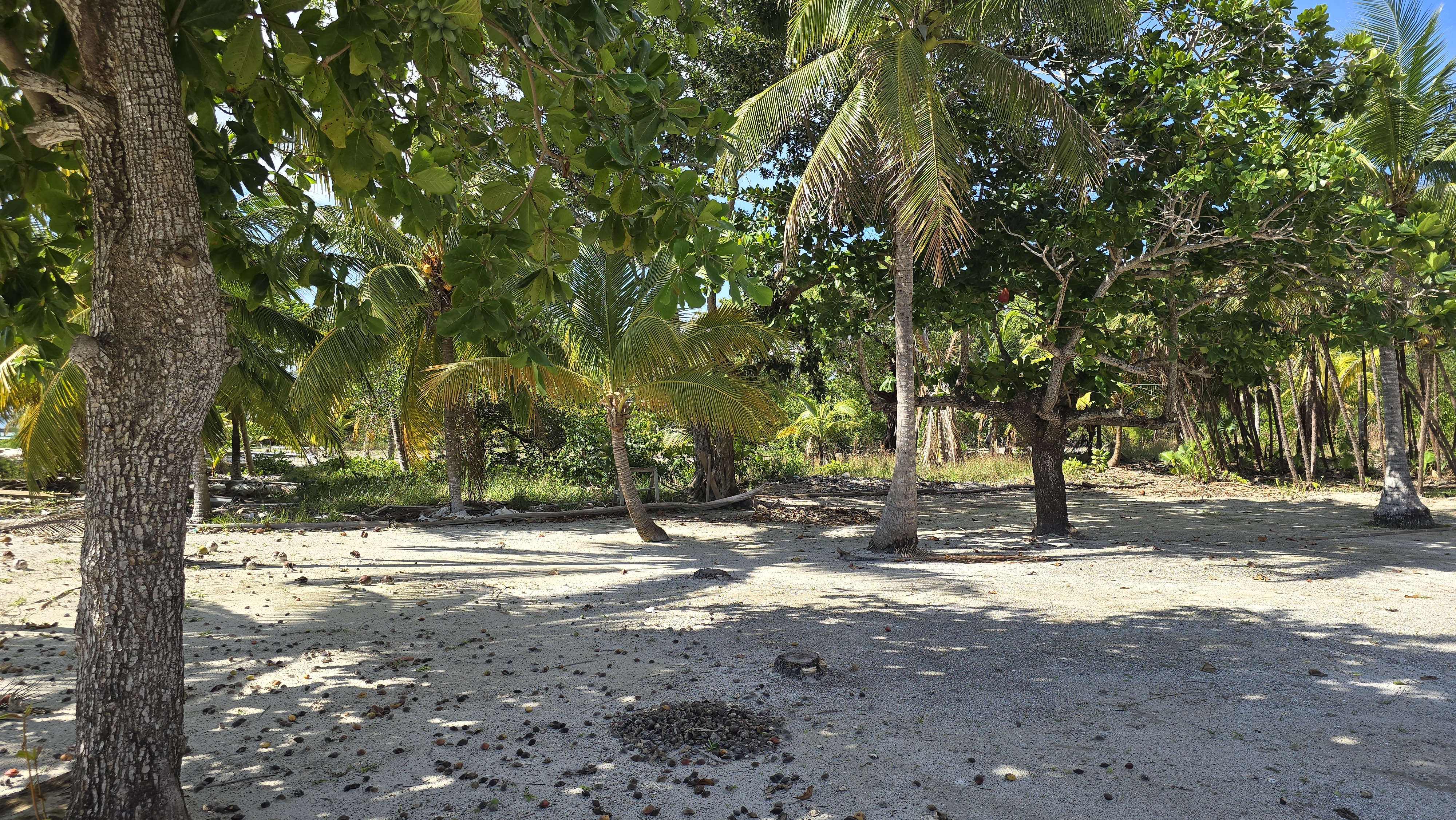 Listing ID: URE0693, Holland Beach Utila, Bay Islands, HN - Oceanfront property with small bodega and boat dock, Photo #