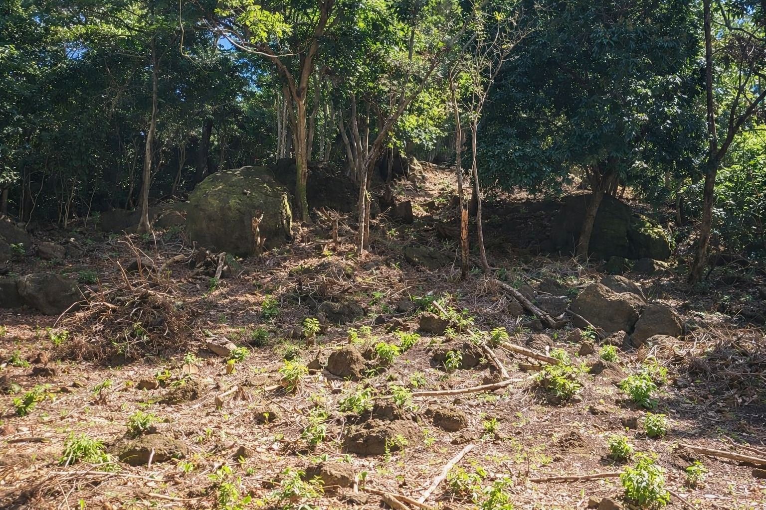 Listing ID: URE0699, Pumpkin Hill Utila, Bay Islands, HN - North View Pumpkin Hill Lot, Photo #