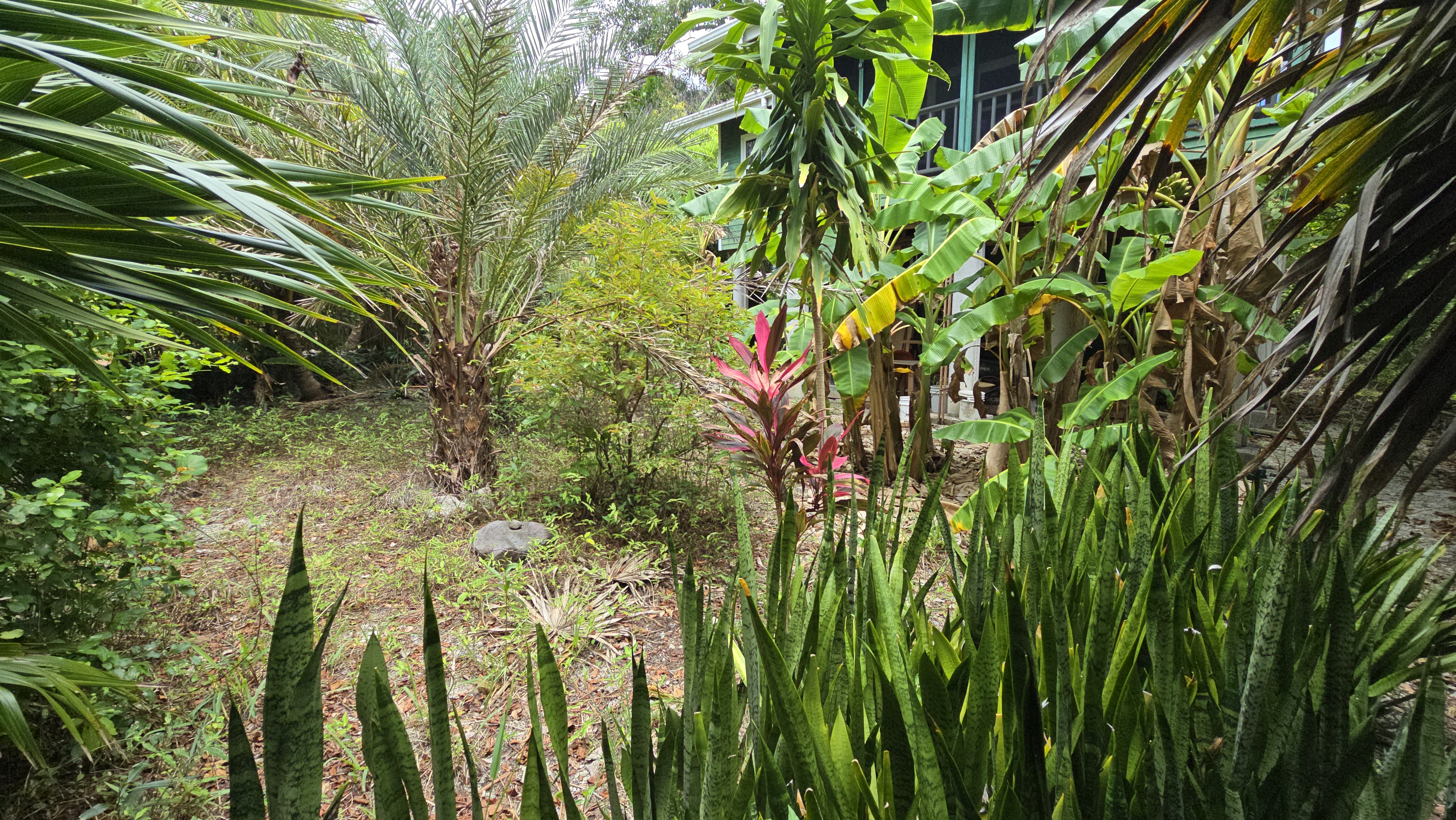 Listing ID: URE0701, Mariners Landing Utila, Bay Islands, HN - Green Haven Retreat, Photo #