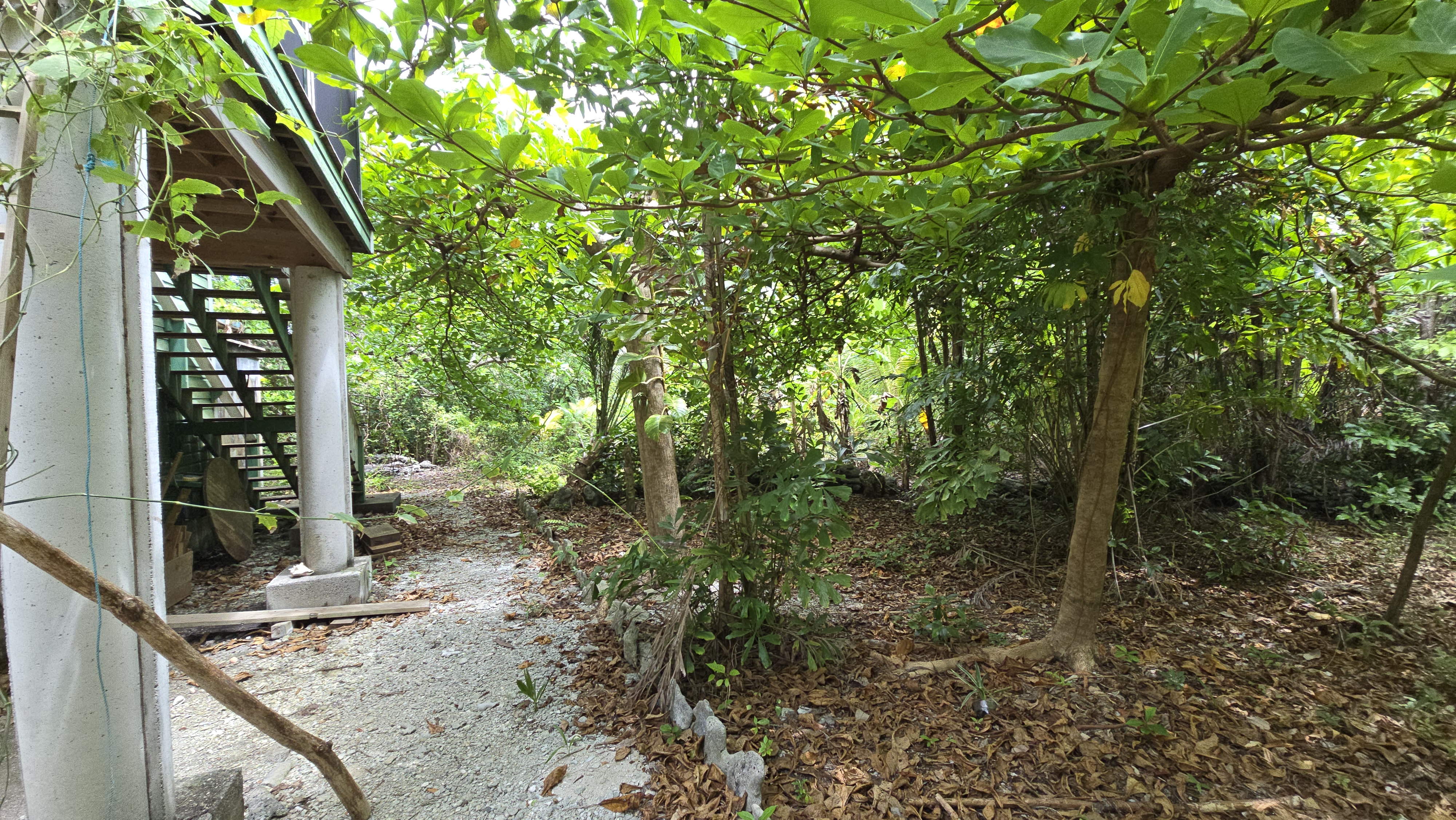 Listing ID: URE0701, Mariners Landing Utila, Bay Islands, HN - Green Haven Retreat, Photo #