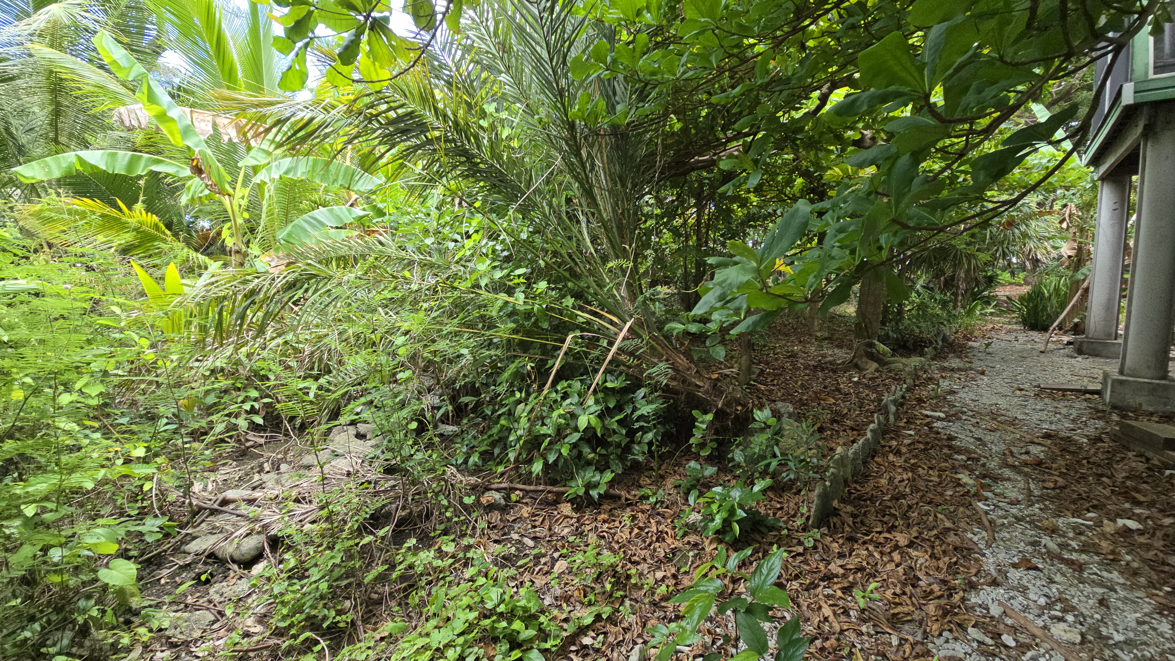 Listing ID: URE0701, Mariners Landing Utila, Bay Islands, HN - Green Haven Retreat, Photo #