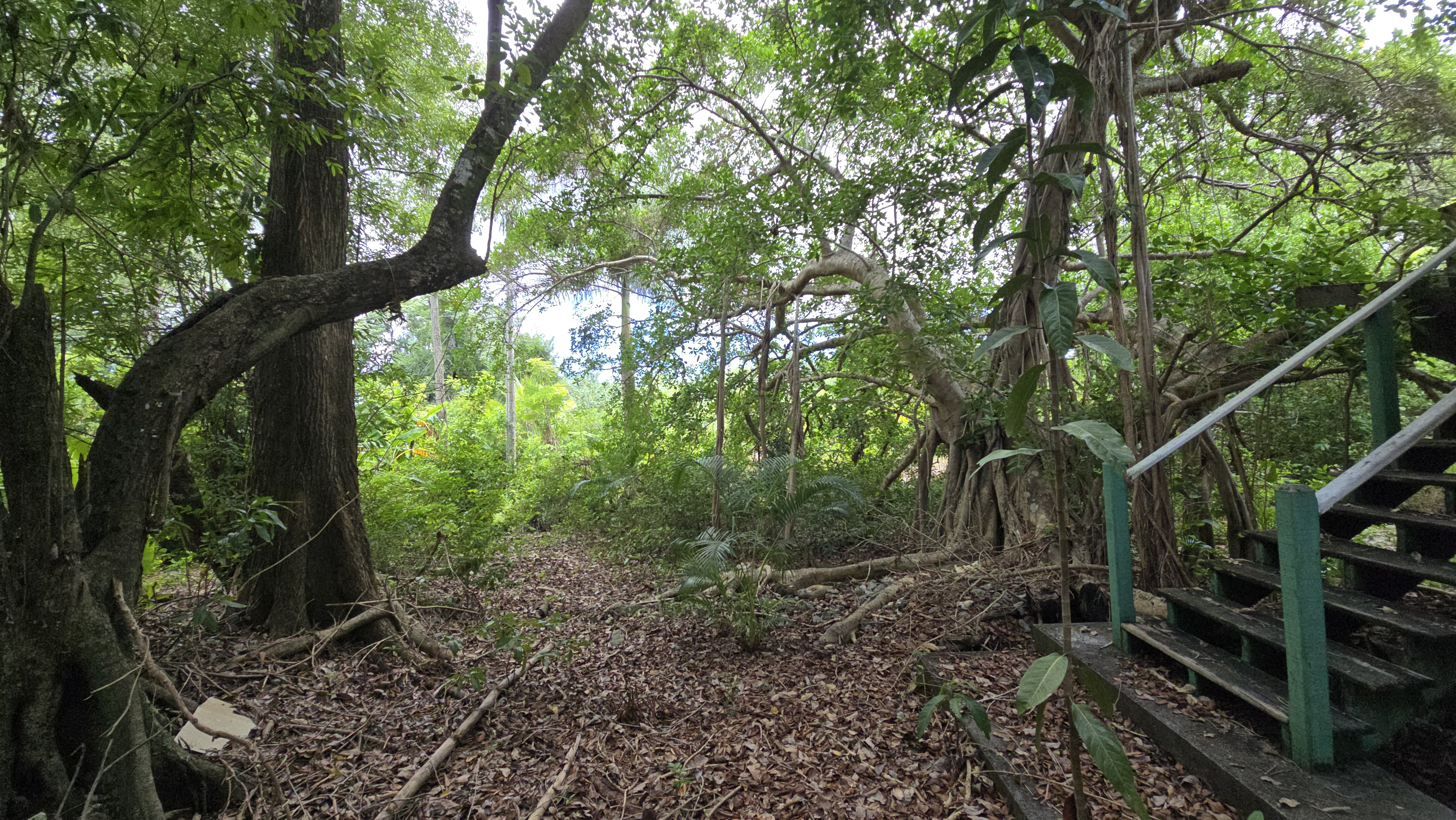 Listing ID: URE0701, Mariners Landing Utila, Bay Islands, HN - Green Haven Retreat, Photo #