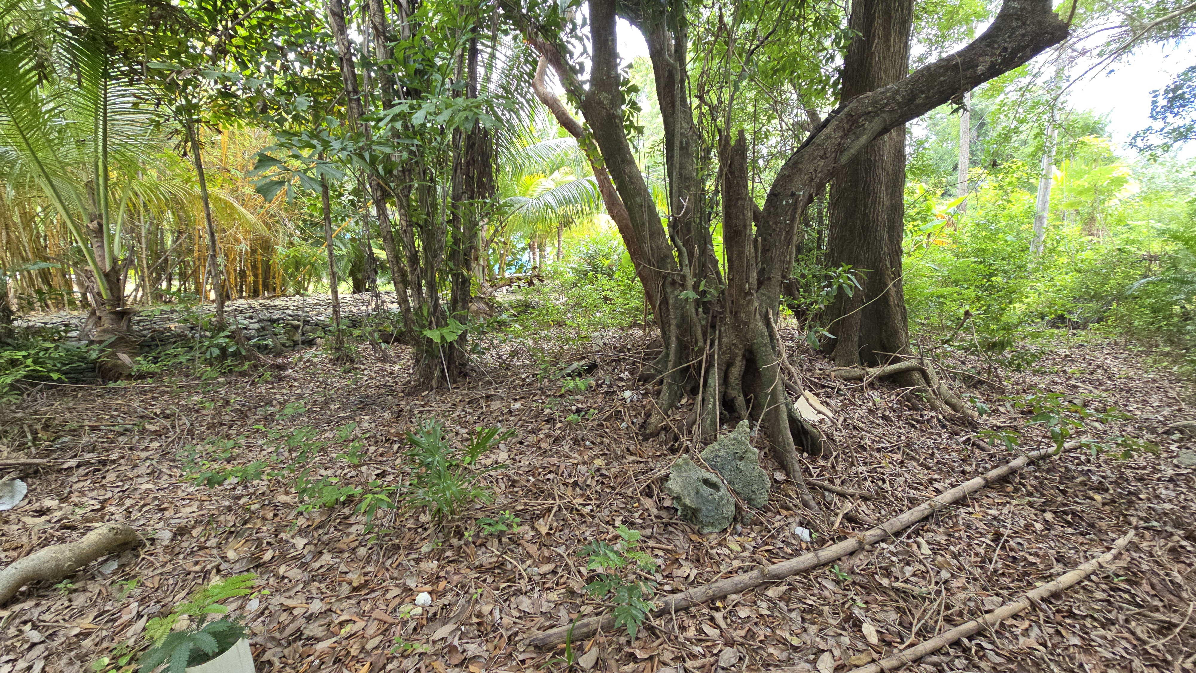 Listing ID: URE0701, Mariners Landing Utila, Bay Islands, HN - Green Haven Retreat, Photo #