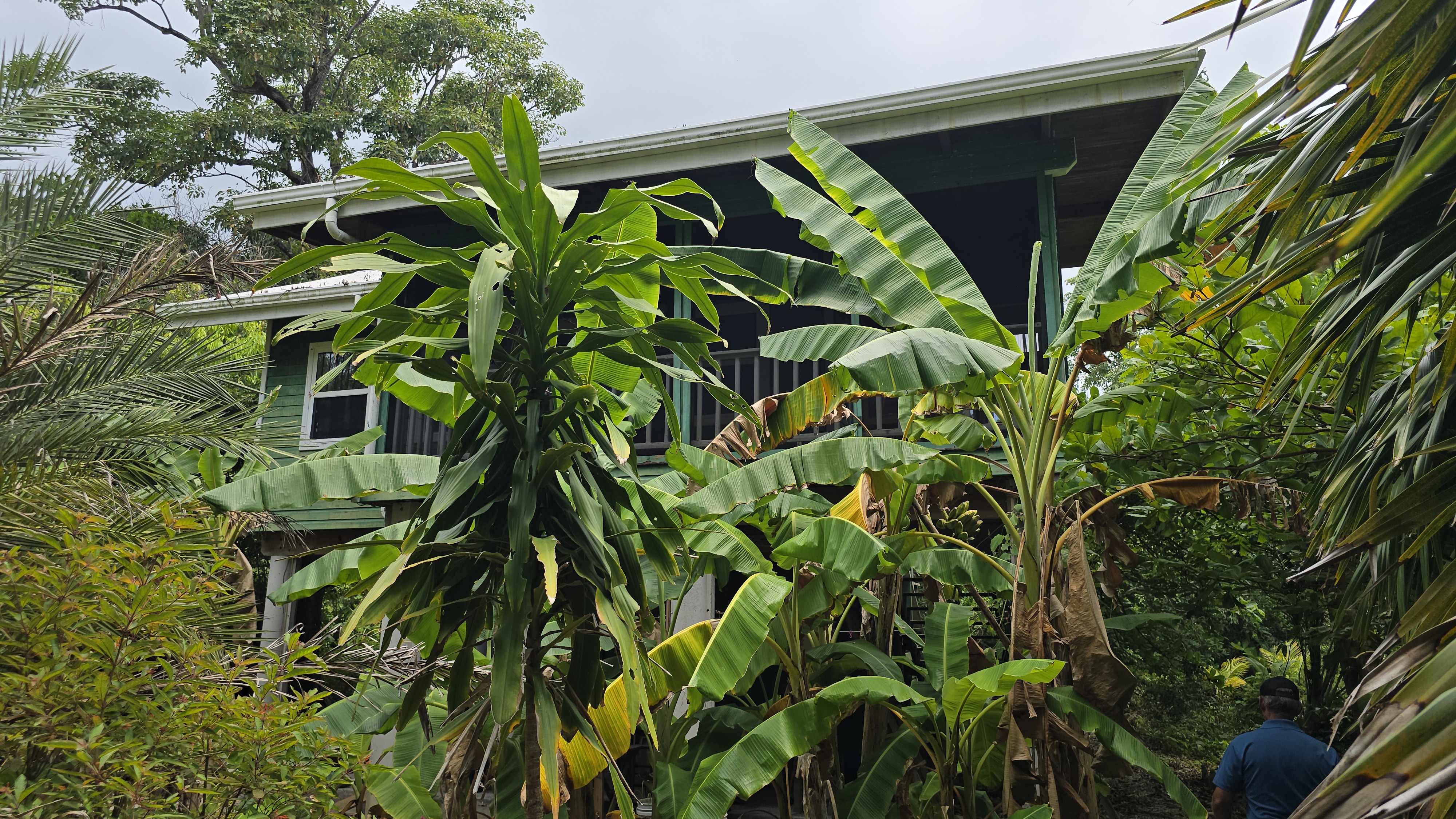 Listing ID: URE0701, Mariners Landing Utila, Bay Islands, HN - Green Haven Retreat, Photo #