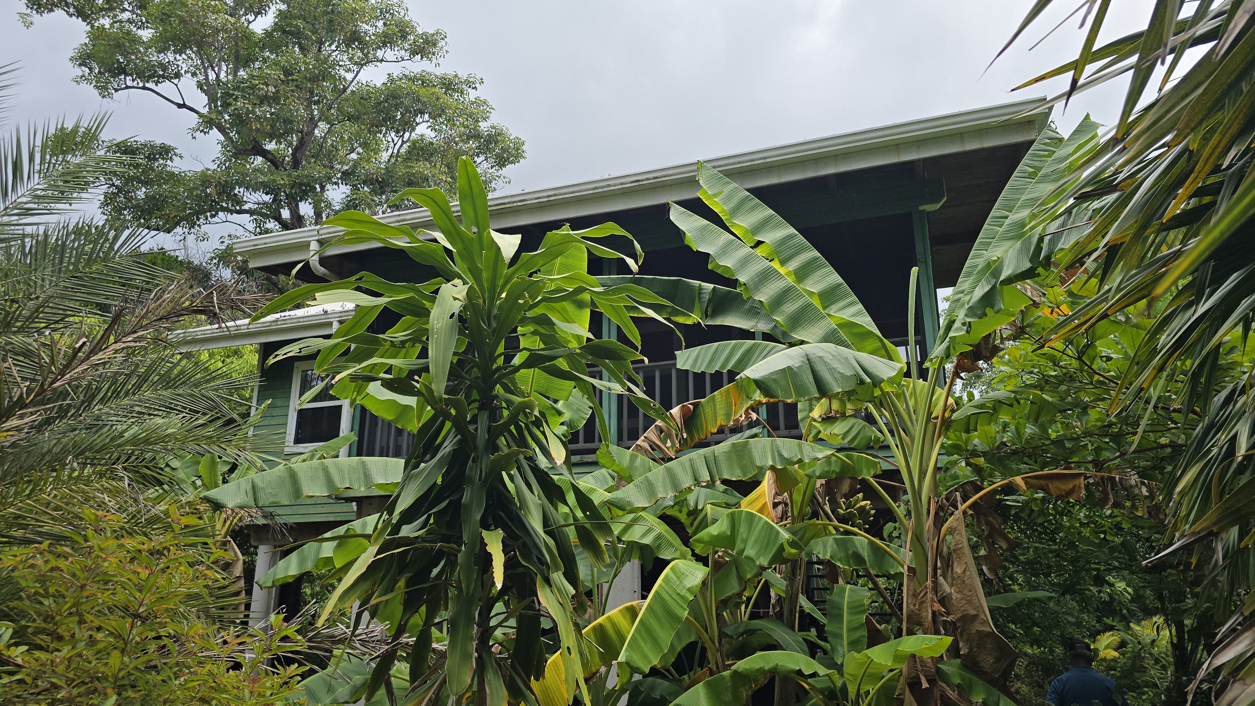 Listing ID: URE0701, Mariners Landing Utila, Bay Islands, HN - Green Haven Retreat, Photo #