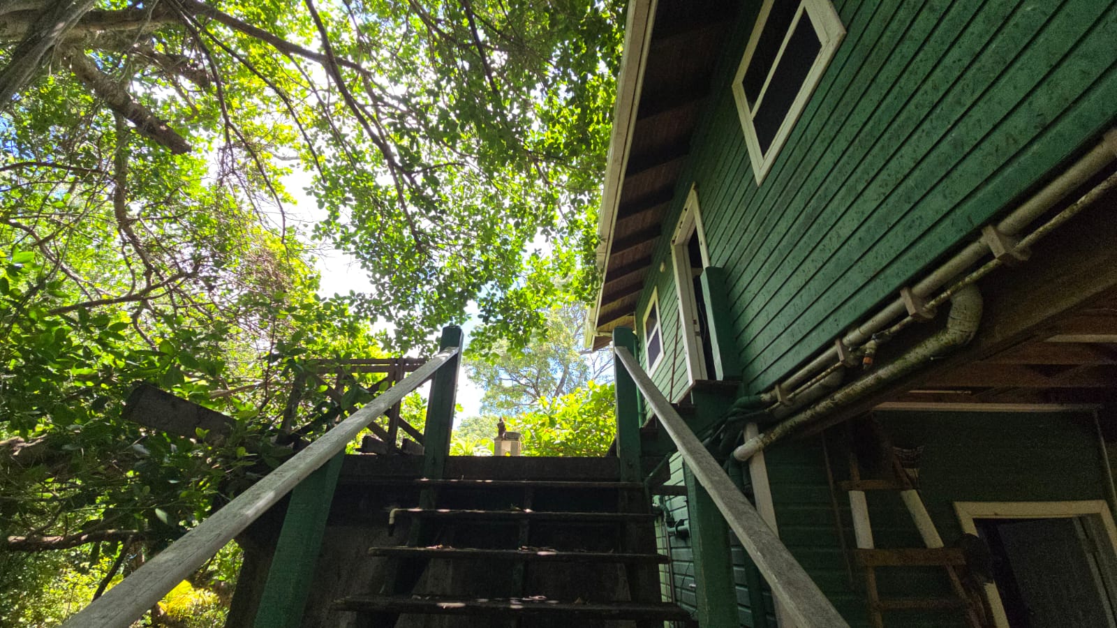 Listing ID: URE0701, Mariners Landing Utila, Bay Islands, HN - Green Haven Retreat, Photo #