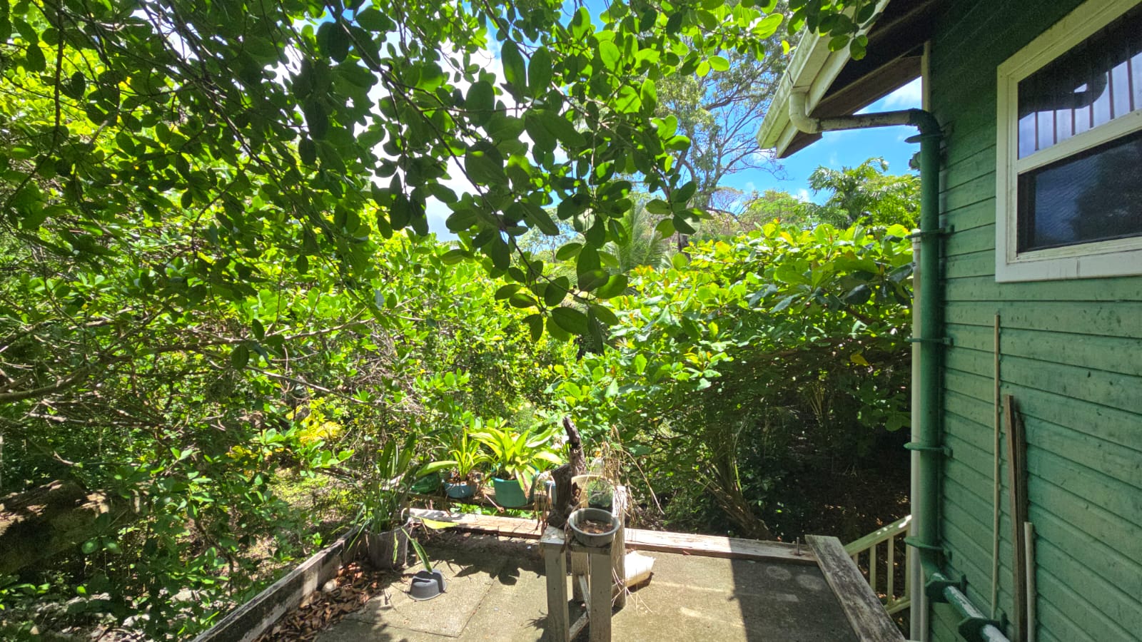 Listing ID: URE0701, Mariners Landing Utila, Bay Islands, HN - Green Haven Retreat, Photo #