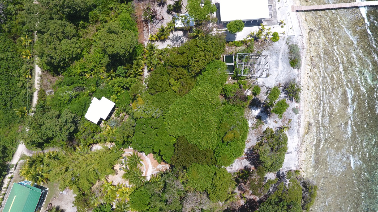 Listing ID: URE0701, Mariners Landing Utila, Bay Islands, HN - Green Haven Retreat, Photo #