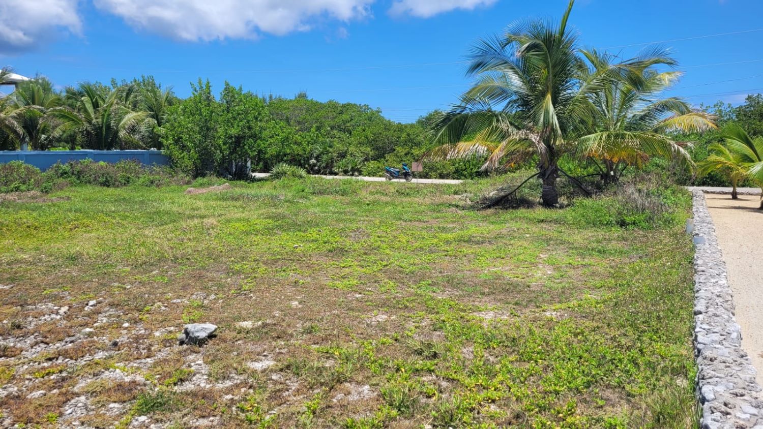 Listing ID: URE0703, Dolphin Run Utila, Bay Islands, HN - Dolphin Run Oceanfront Lot, Photo #