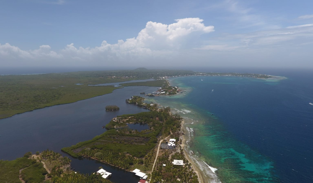 Listing ID: URE0722, Coconut Cove Utila, Bay Islands, HN - Coconut Cove Unfinished Gem, Photo #
