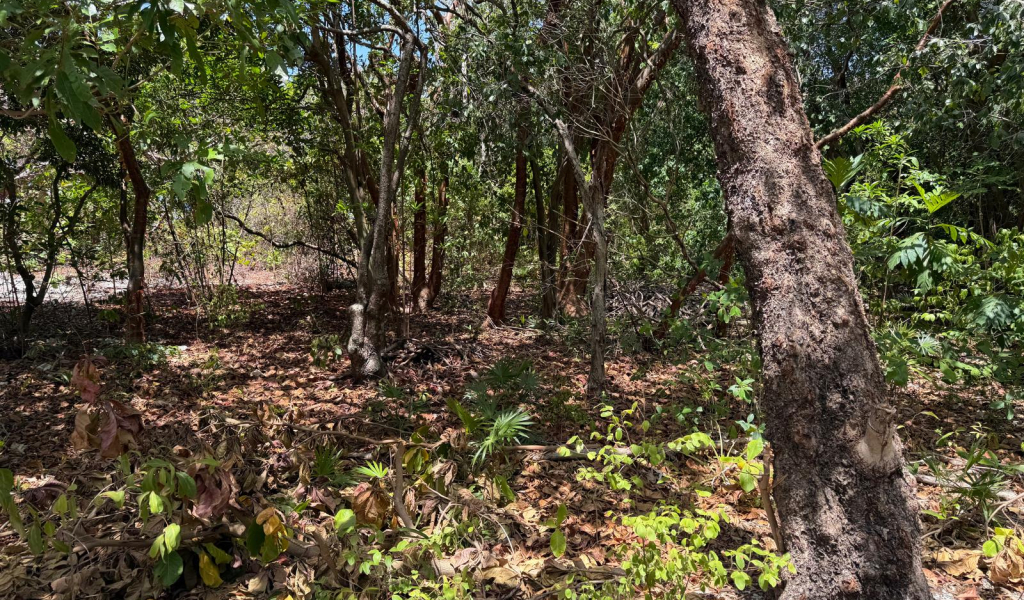 Listing ID: URE0723, Big Rock Utila, Bay Islands, HN - Big Rock oceanfront front and back Lot , Photo #
