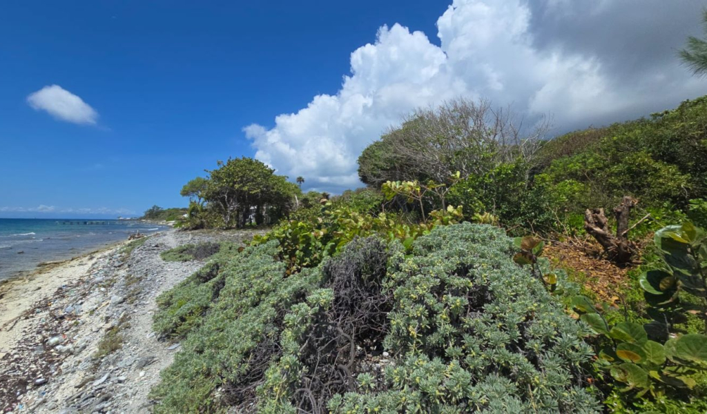 Listing ID: URE0723, Big Rock Utila, Bay Islands, HN - Big Rock oceanfront front and back Lot , Photo #