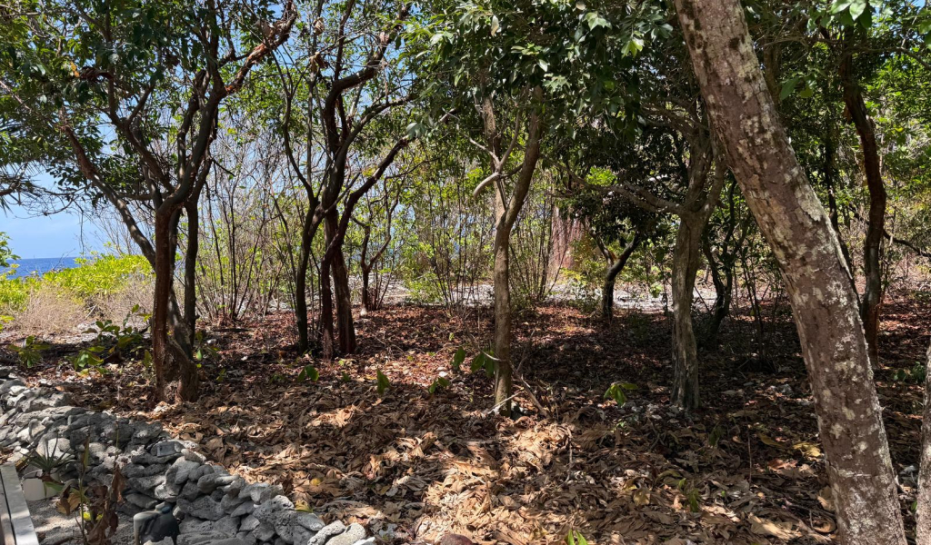 Listing ID: URE0723, Big Rock Utila, Bay Islands, HN - Big Rock oceanfront front and back Lot , Photo #